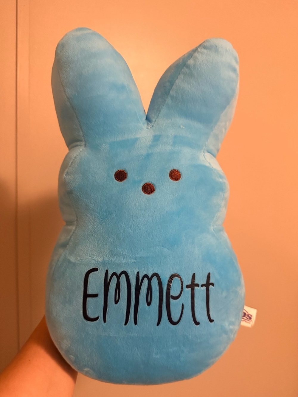 Blue Plush Bunny Pillow with Name "Emmett"